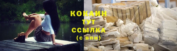гашик Абаза