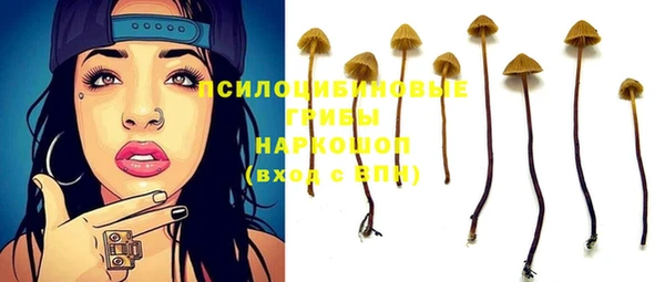 ПСИЛОЦИБИНОВЫЕ ГРИБЫ Алзамай