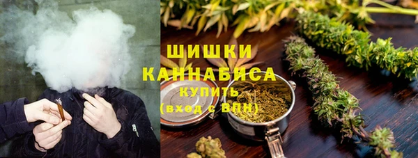 ПСИЛОЦИБИНОВЫЕ ГРИБЫ Алзамай
